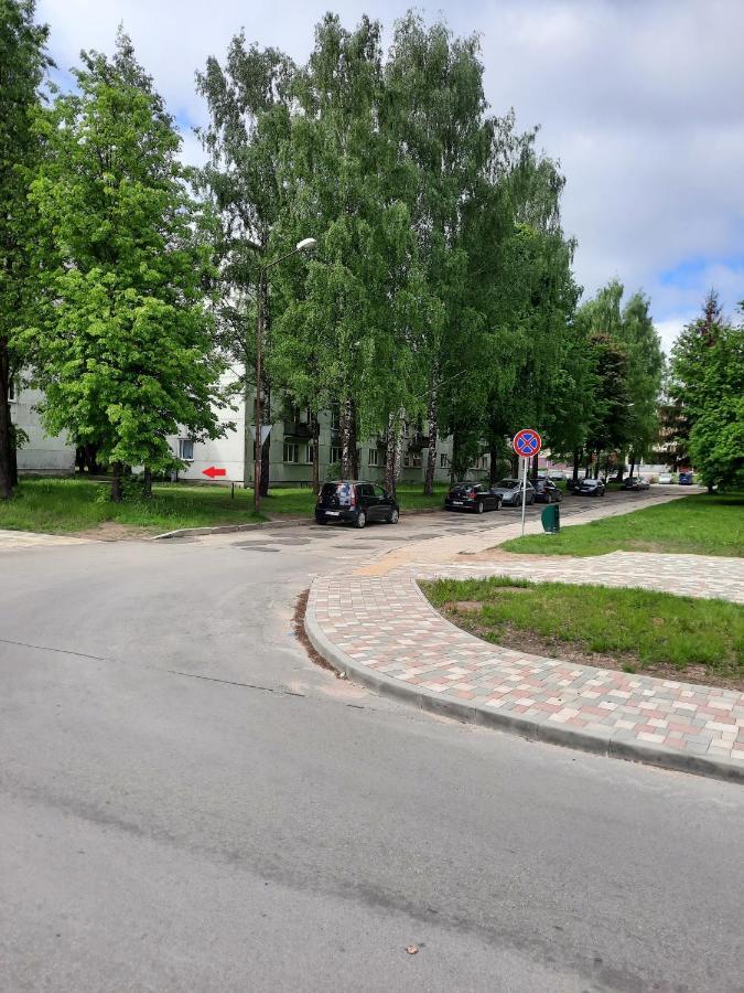 Luena Apartment Jelgava Exterior foto